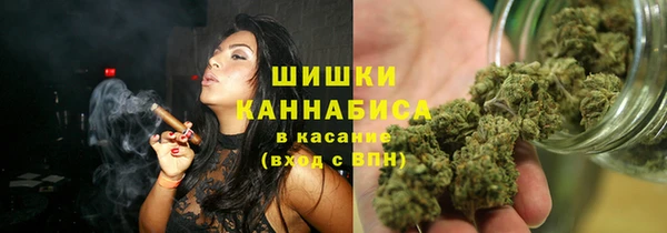 прущие грибы Михайлов