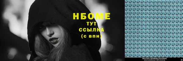 прущие грибы Михайлов