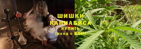 сатива Бугульма