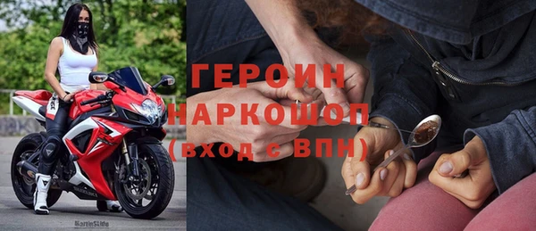 прущие грибы Михайлов