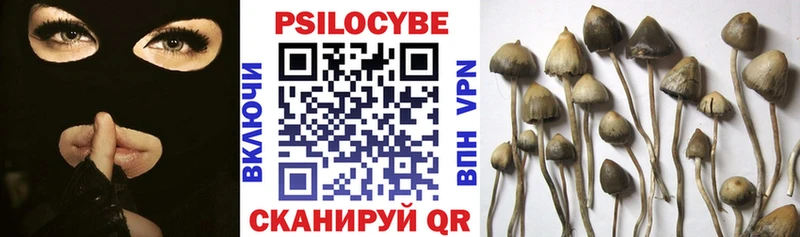 закладки  Златоуст  Псилоцибиновые грибы мухоморы 
