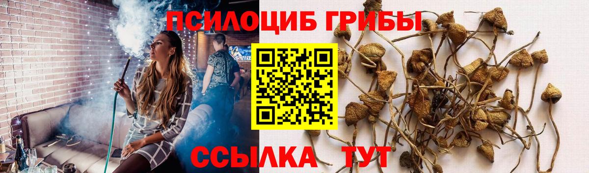 Галлюциногенные грибы прущие грибы  Вход с VPN  Златоуст 
